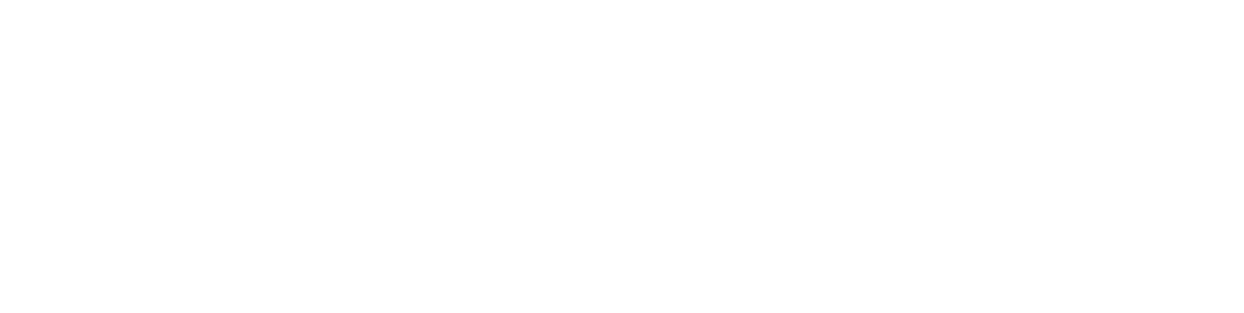 Malik Motors